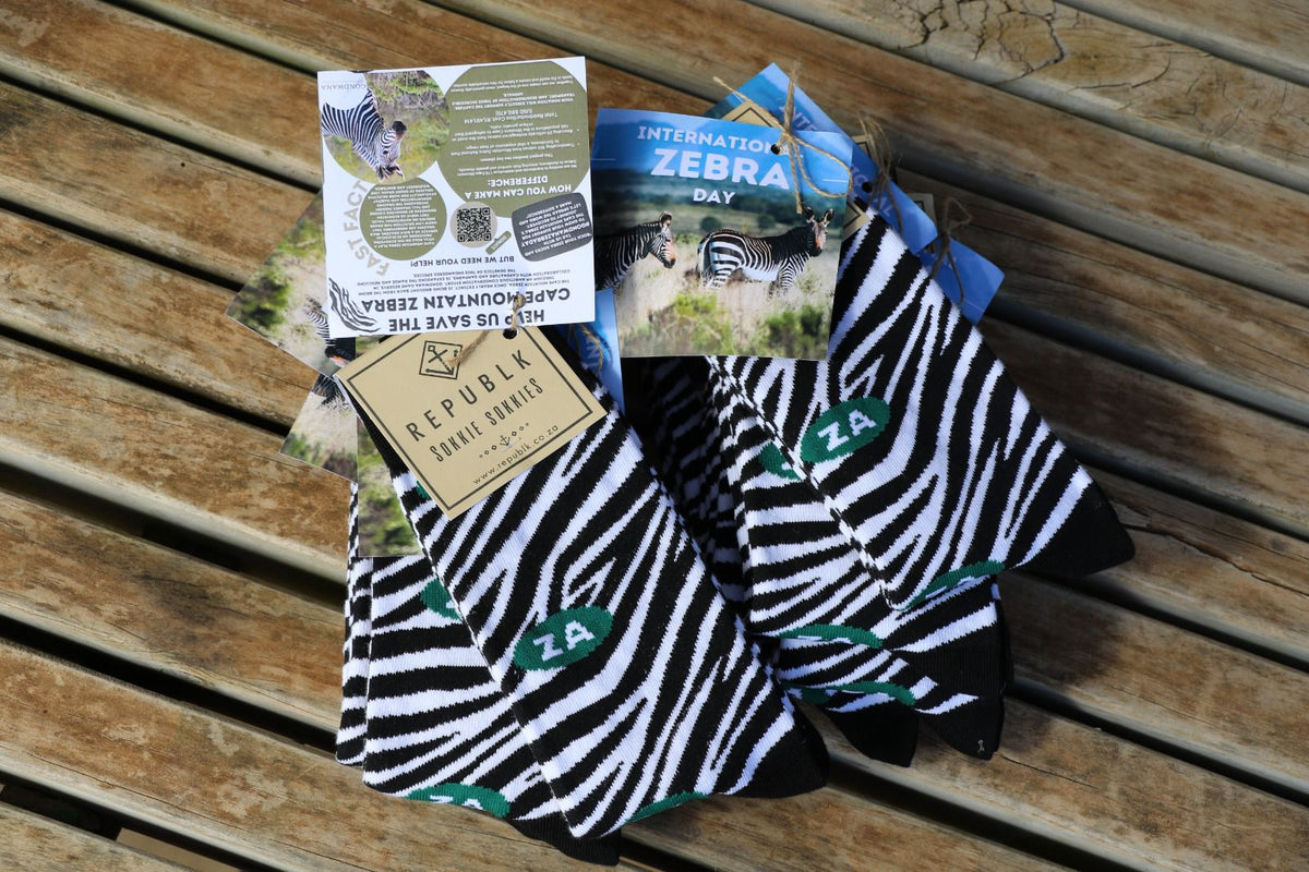 3 Surprising Facts About Zebras in Gauteng