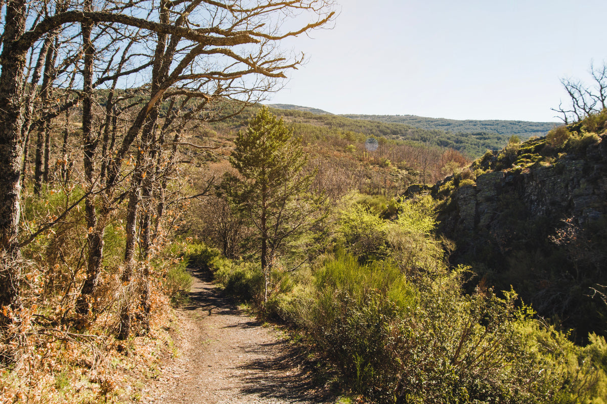 The Benefits of an Outdoor Hike: Adventure, Fresh Air & Finding Balance