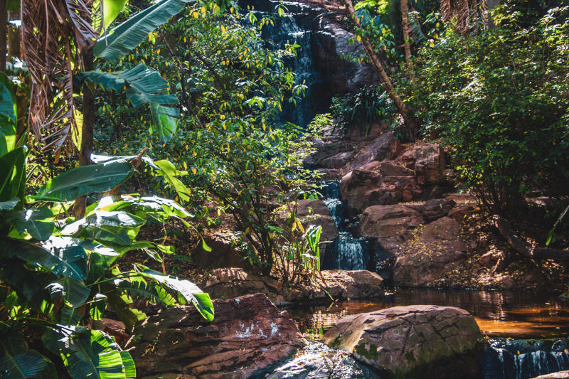 Winter Adventures: Things to Do in and Around Pretoria This Winter