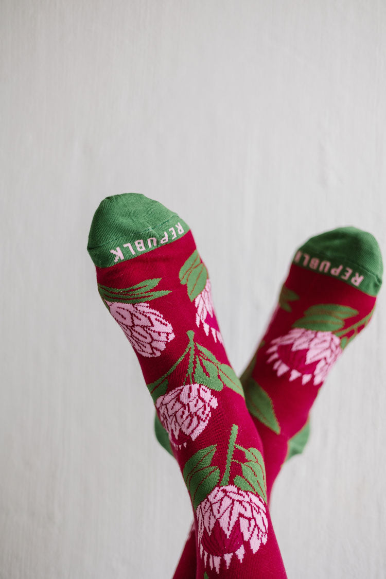 Sokkie Sokkies Protea